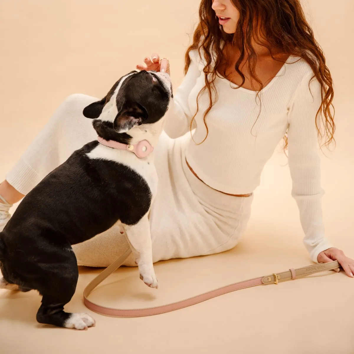 Leash 4ft - Vegan Leather - Cupertino