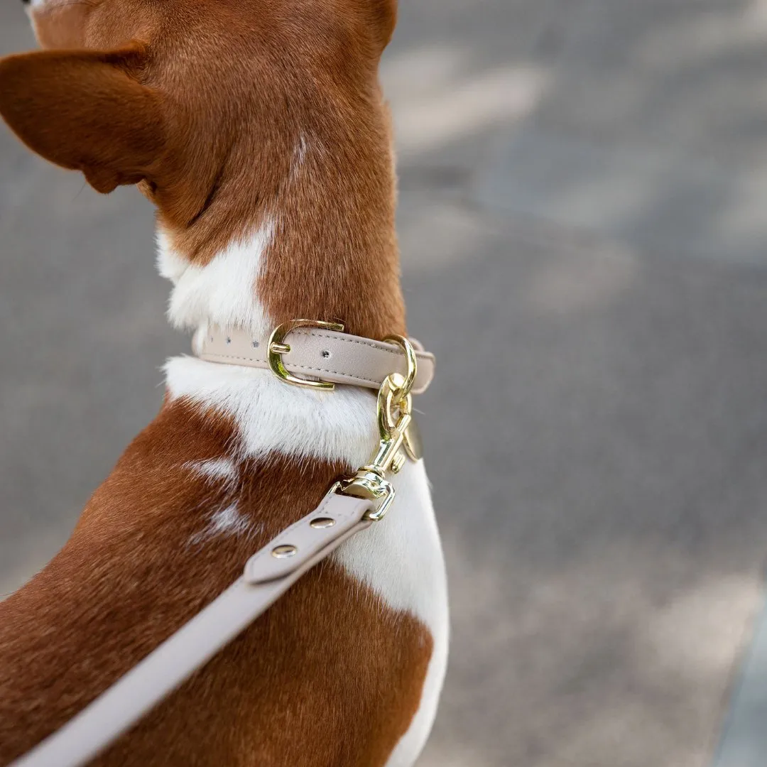 Leash 4ft - Vegan Leather - Cupertino