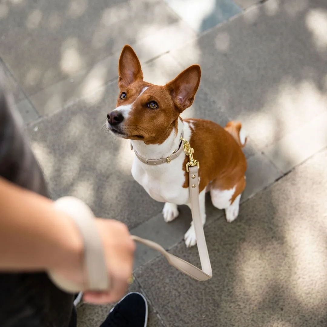 Leash 4ft - Vegan Leather - Cupertino