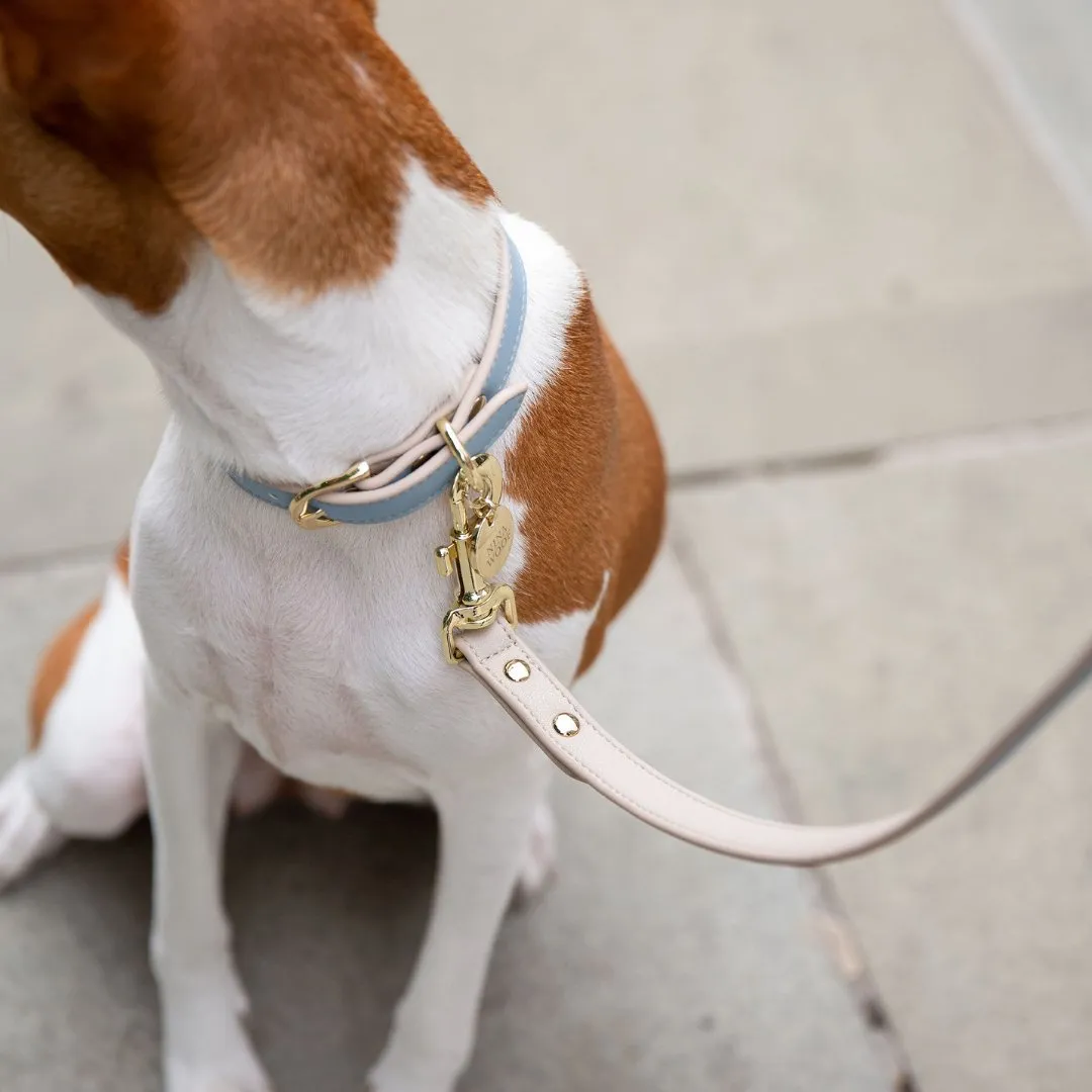 Leash 4ft - Vegan Leather - Cupertino